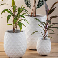 TRIO DIAMANTE B